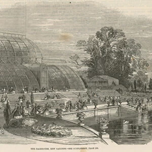 The Palm House, Kew Gardens, London (engraving)