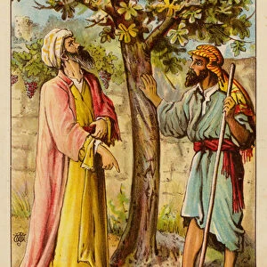Parables, The Barren Fig-Tree (colour litho)