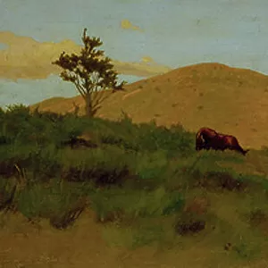 Pasture, 1861 (oil on canvas)