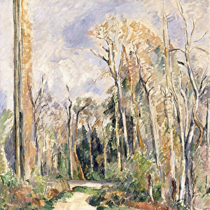 Path at the entrance of the forest, c. 1879 (oil and pencil on canvas)