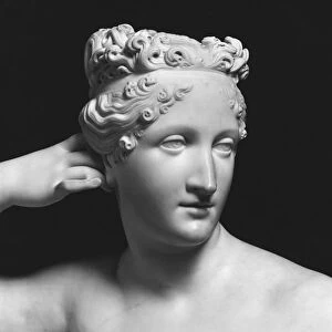 Pauline Bonaparte, Princess Borghese as Venus Triumphant, detail of head, c. 1805-08 (marble) (see also 383164 to 167, 169, 170)