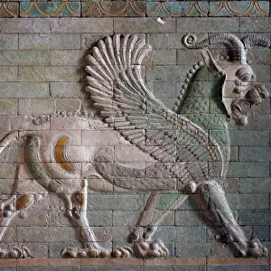 Persian period rouenide (Iran): low relief in enamelled brick representing a griffon