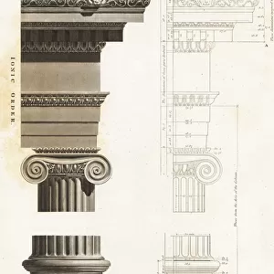 Pillar and capital of the Temple of Athena Polias in Priene. 1820 (engraving)