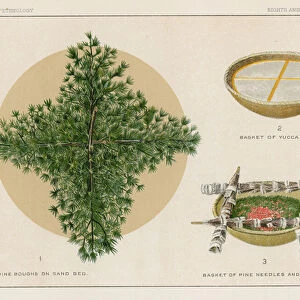Pine boughs on sand bed, Basket of Yucca suds, Basket of pine needles and corals (colour litho)