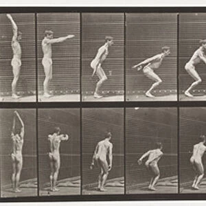 Plate 161. Jumping; Standing High Jump, 1872-85 (collotype on paper)