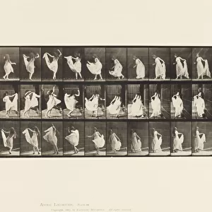 Plate 193. Dancing (fancy), 1885 (collotype on paper)