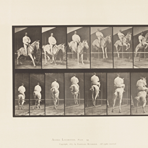 Plate 645. Jumping a Hurdle; Saddle; Clearing and Landing, 1885 (collotype on paper)