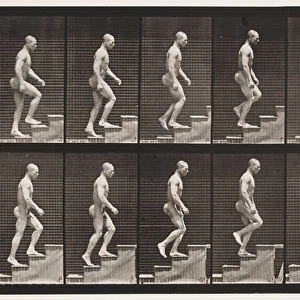 Plate 91. Ascending Stairs, 1872-85 (collotype on paper)