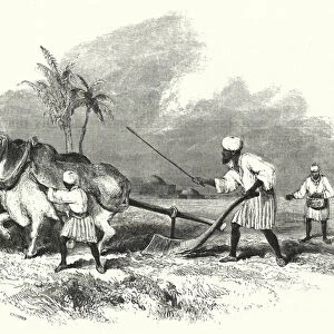 Ploughing (engraving)