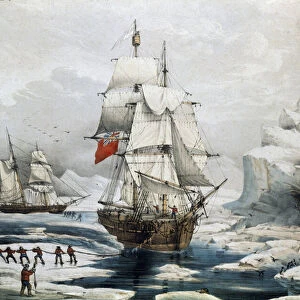Polar Expedition in the Arctic: English and American ships trapped in ice