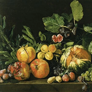 Pomegranates, melons, grapes, peaches, figs and other fruits on a stone ledge