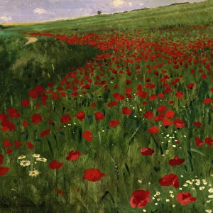 The Poppy Field, 1896 (oil on canvas)