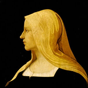 Portrait of Caterina Sforza