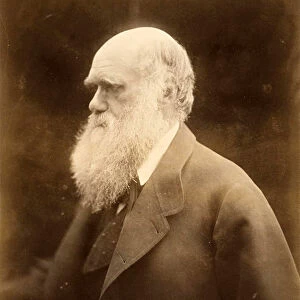 Portrait of Charles Darwin, 1868 (photo)