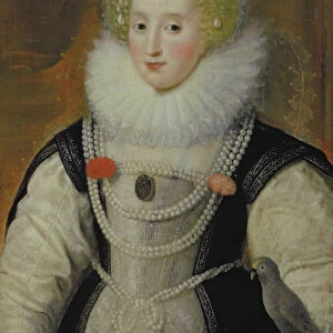 Portrait of an Elizabethan Lady with a Parrot (oil on canvas)