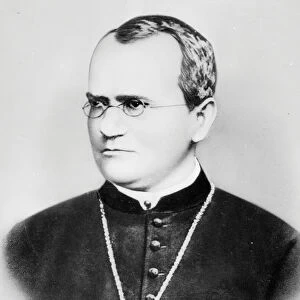 Portrait of Gregor Johann Mendel (b / w photo)