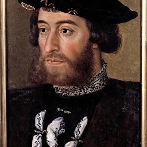 Portrait of Guillaume de Bellay, Lord of Langey (1491-1543