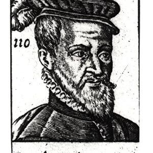 Portrait of Joachim du Bellay (1522-60) (engraving) (b / w photo)