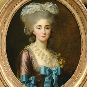 Portrait of Madame Lesould, 1780 (oil on canvas)