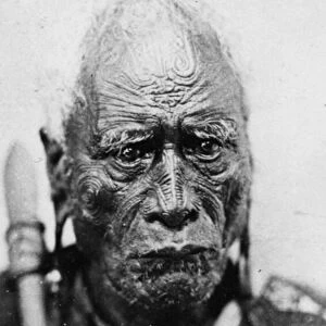 Portrait of a Maori man, Taraia Ngakuti te Tumuhuia, with Moko Facial Tattoos