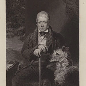 Portrait of Sir Walter Scott, with dog (engraving)