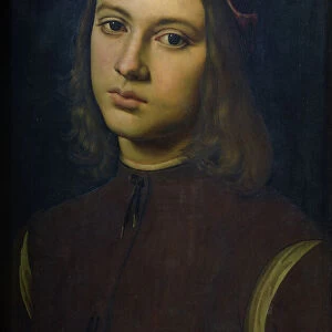 Portrait of a young man, 1495 (oil on panel)