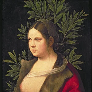 Portrait of a Young Woman (Laura), 1506