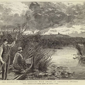 The Prince of Wales shooting wild swans at Ekolsund (engraving)