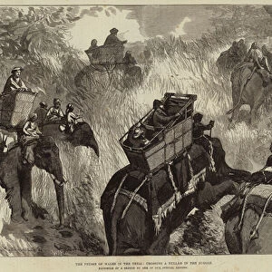 The Prince of Wales in the Terai, crossing a Nullah in the Jungle (engraving)