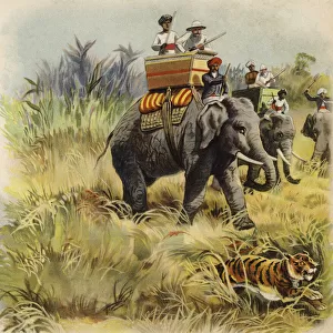 The Prince of Wales tiger hunting in India (chromolitho)