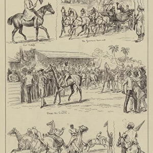 A Race Meeting in Jamaica (engraving)