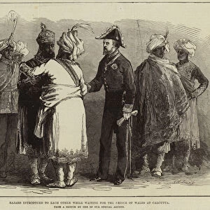 Rajahs introduced to each other while waiting for the Prince of Wales at Calcutta (engraving)
