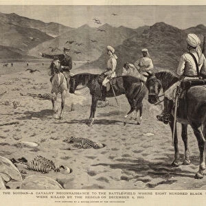 The Rebellion in the Soudan, a Cavalry Reconnaissance to the Battle-Field where Eight Hundred Black Troops were killed by the Rebels on 4 December 1883 (engraving)