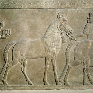 Relief depicting the tributaries of Sargon II, from the Palace of Sargon II at Khorsabad