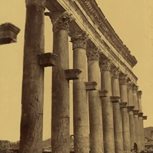 Remains of Colonnade of the Temple of the Sun in Palmyra, Syria, 1867 (albumen print)