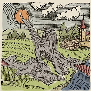 Representation of basilics in flight burning wheat fields