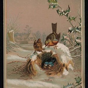 Robins and birds in a nest, Greetings card (chromolitho)