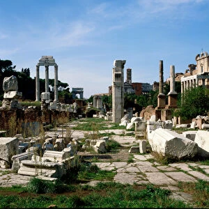 Roman art: view of the Forum (foro romano). Rome