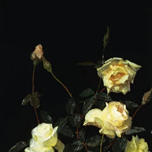 Roses, 1878 (oil on panel)