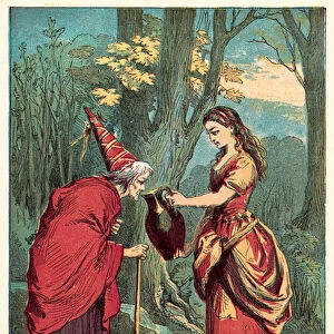 Roses kindness (coloured engraving)