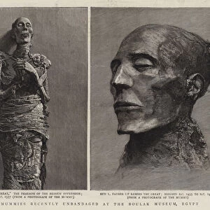 Royal Mummies recently Unbandaged at the Boulak Museum, Egypt (engraving)