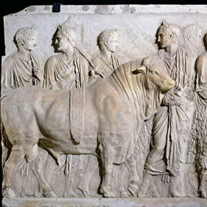 Sacrifice of a bull, a ram and a pig in honour of the God mars