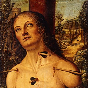 Saint Sebastian, (oil on panel)