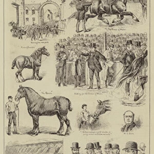 Sale of Mr Lawrence Drews Draught Horses at Merryton, near Glasgow (engraving)