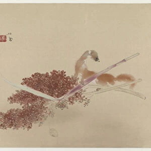 Seihos Masterworks: Ferret And Millet (colour woodblock print)
