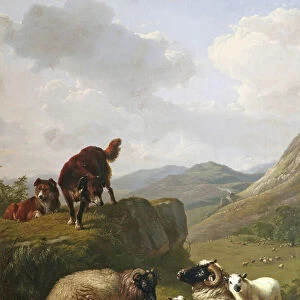 Sheep and dogs, 1861 (oil on canvas)