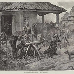 Shoeing Oxen and Horses at a Servian Smithy (engraving)