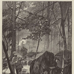 Shooting Elk in the Far North (engraving)
