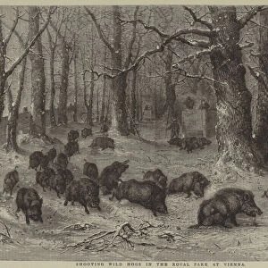 Shooting Wild Hogs in the Royal Park at Vienna (engraving)