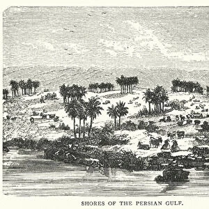 Shores of the Persian Gulf (engraving)